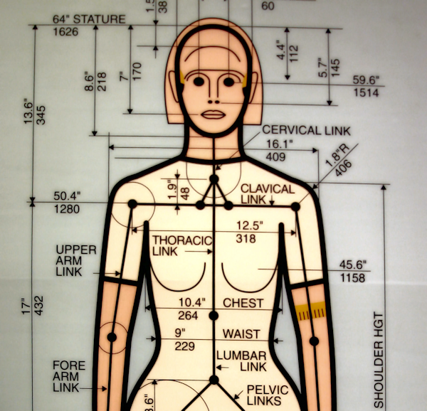 Female dummy design