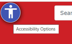 Quickstart accessibility icon