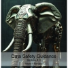 DSG V4.0 Volume 1